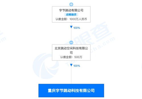字節跳動跨界布局 重慶子公司經營范圍新增房地產經紀與技術咨詢